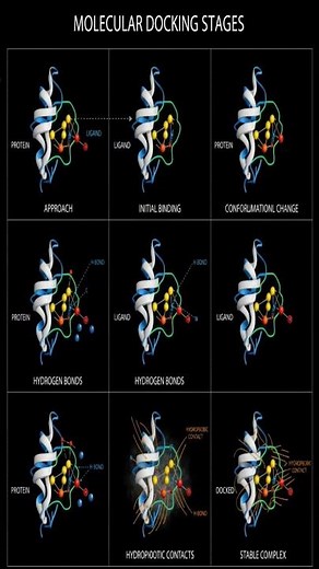 Molecular Docking Explained: From Receptor Prep to Binding Pose #bioinformatics #nucleotides #ai