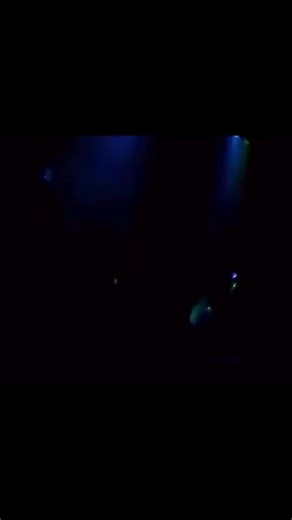 17K views · 572 reactions | Chapter Four - The Rev footage - Avenged...