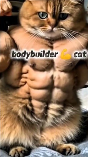 "Strongest Cat Ever 😼🔥"#BodybuilderCat #StrongCat #FunnyCat #CuteCat #CatVideo