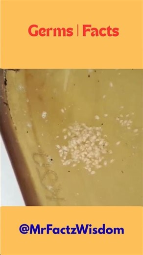 Germs | facts#shorts #viral #shorts feed#short