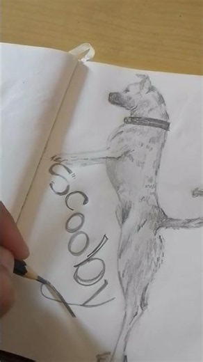 desenha seu pet#shorts #art #desenhar #drawing