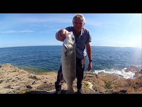 Bass Lure Fishing from the Rocks - Twitching Weedless Lures Worked