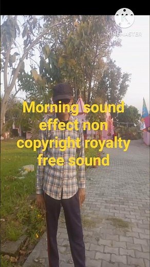 morning sound effect non copyright royalty free sound