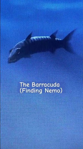 The Return Of The Barracuda (Finding Nemo)