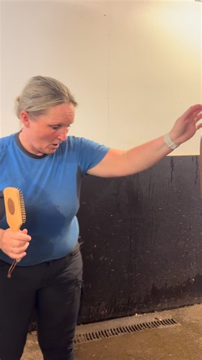 PART 4 klippe hale 👍😅#klippe #hale #wellness #hestevelfærd #vandbåndstræning #vandbånd #happy #horse #spa #og #rehab #happyhorsespaogrehab # | Happy Horse Spa og Rehab