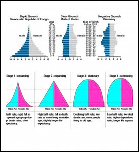 Population pyramids