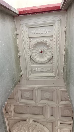 shani ceiling on TikTok