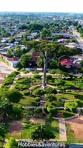 El árbol lupuna, o Ceiba pentandra, es una especie amazónica imponente que puede alcanzar hasta 70 metros de altura y 3 metros de diámetro, reconocible por su tronco robusto con raíces en forma de aletas. Es un árbol sagrado para las comunidades nativas, que le atribuyen un significado espiritual y protector de la selva #lupuna #Arbolsagrado #Pucallpa #amazoniaperuana #peruesclave #videoviralシ #facebookreelsviral #videoreelsシ #fypシ #fypシ゚ #paisajesnaturales #COMPARTEYSIGUENOS | TE AMO PERU