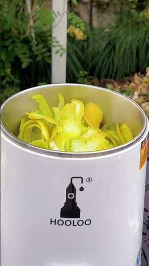 HOOLOO Water Distiller: How to Make Grapefruit Peel Hydrosol & Essential Oil