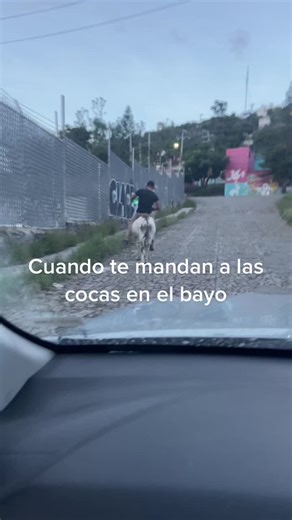 Man Riding Horse in Urban Setting: A Scenic Journey