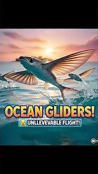 Flying Fish in Action! 😳🐟 | Incredible Sea Creatures That Glide Above Water”