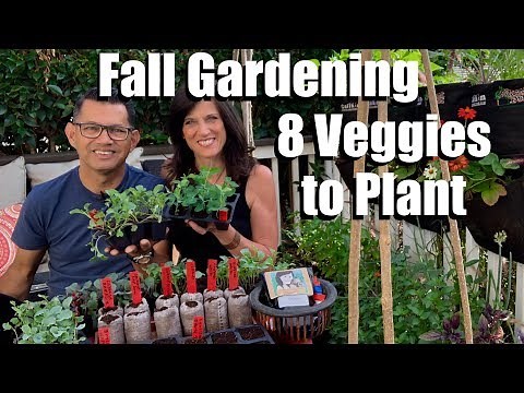 How to Start a Fall Vegetable Garden - 8 Seeds to Plant / Fall Garden Series #1 🍁🥦🍁🌿