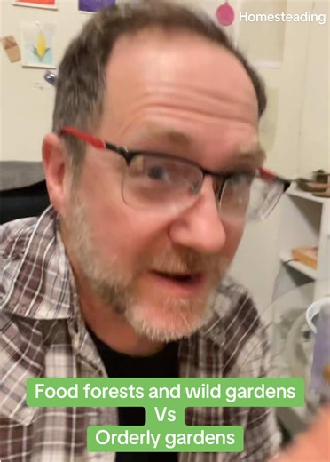 Creating Food Forests: The Future of Gardening