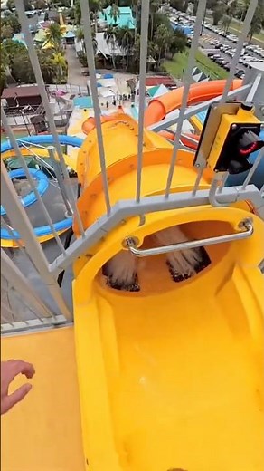 Zoom zonewater slide POV wet n wild gold coast #pov #waterslide #waterpark #aquapark