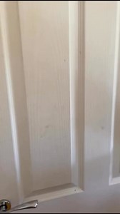 Petite Peonys on Reels