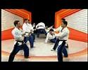 Okinawa Kenpo Students Self Defense Demo - Master Higa