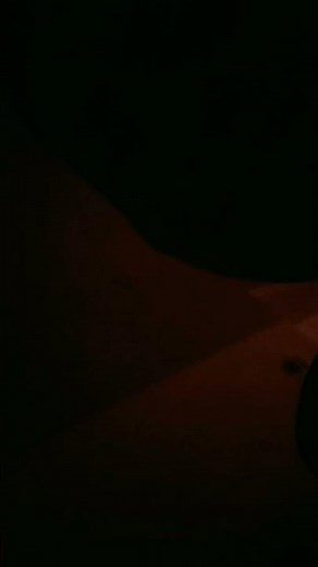 19 июня 2023 г.