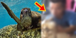 Man 's Epic Reaction When Turtle Bit His Lips (Video)