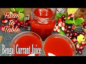 Farm to Table: Bengal Currant Juice | Fresh and Healthy Juice Recipe