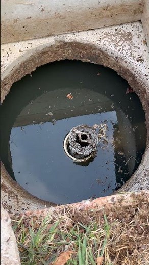 Clean Your Septic Filter or This Happens