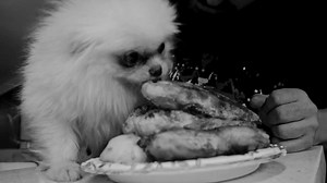 What’s this 🤔🦾 | Austrian Death Machine