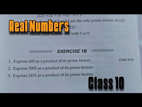 Exercise 1B Real Numbers Q1 TO Q11 Class 10 RS Aggarwal | Chapter 1 2022 CBSE | Rajmith study