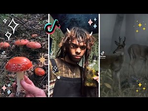 Goblincore & Dark Cottagecore 🍄 TikTok Compilation 🐸