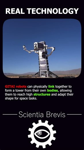 Robots build a tower🤖 #shorts #science #facts #knowledge #learning #education