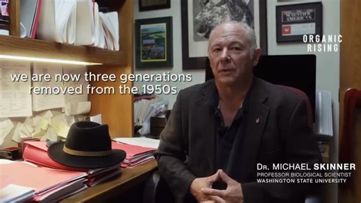 18K views · 360 reactions | ORGANIC RISING - Demystifying Organic...