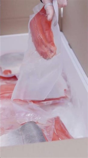 How to bring salmon home from Alaska?