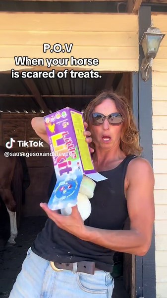 Helping Sox Overcome His Locker Fear with Treats