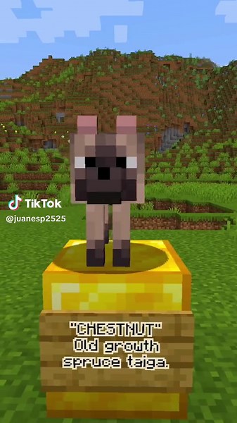 ¡Descubre las 8 nuevas variantes de lobos en Minecraft!