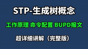 【计算机网络】全网最详细的STP生成树原理及配置讲解，小白也能轻松学会！ 网工