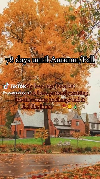Counting down the days until cozy season and for the seasons to change. It’s when my heart feels so cozy and settled…. When the leaves start to fall it’s when I feel ‘right’ Does that make sense? I just can’t wait! #cozyseason #autumn #fall #countdowntoautumn #autumn2025 #seasonalchanges