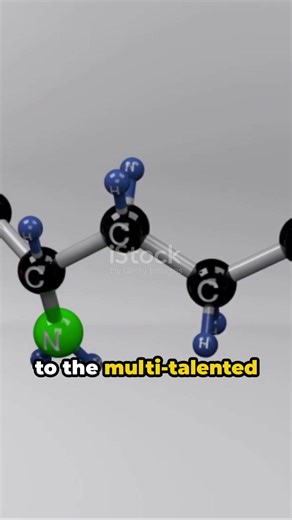 1.4K views · 103 reactions | The Building Blocks of Life: 20 Amino Acids #aminoacids #chemistry #biochemistry | ChemClub | Facebook