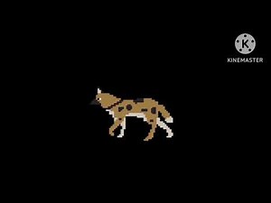 North american animals-kids picture show