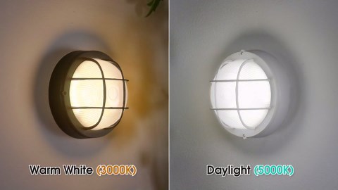 GRUENLICH LED Bulkhead Light, Flush Mount for Wall or Ceiling, 6W 600 Lumen, Dimmable 5000K Daylight White, Aluminum Housing, Water-Proof for Outdoor, Black Finish 1-Pack