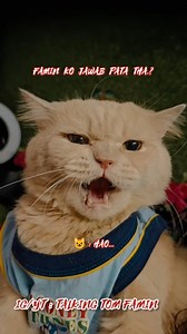 26K views · 10K reactions | Famin Ko Jawab Pata Tha ✨ : Hao ...