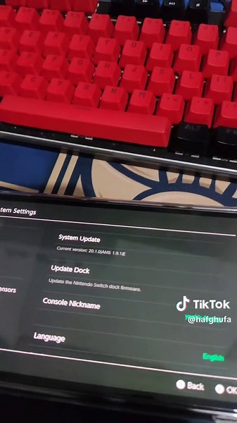 Replying to @whaleqt yg mau main online di ofw nya bagi yg punya switch dual boot, gw BISA bantu update cfw lu biar saat lu update ofw, cfw lu aman 😁 #tripleboot #switch #nintendoswitch2 #nintendo #ofw #switchgames #android #cfw #hafghufa #meme