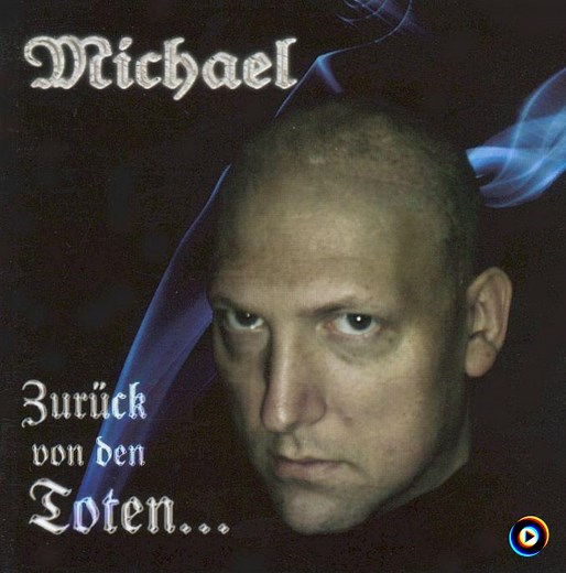 Panzer - Division Wiking by Michael Muller