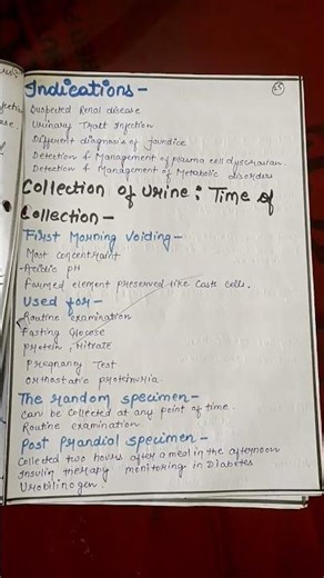 Assignment on Urine test #bscnursing #communityhealthnursing#practicalfile #shortsvideos