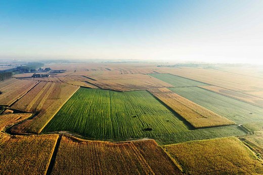 Scientists Say Up to 17% of Global Farmland Could Contain Dangerous Levels of Toxic Heavy Metals