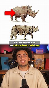 377K views · 8.4K reactions | Ces animaux que l'on confond  #apprendre #Culture #culturegenerale #cultureg #animaux | César - Culture G | Facebook