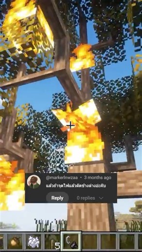 Dynamic Trees Questions from Comments and Angles