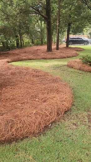 Book your pine straw delivery or install with a neighbor this week and you’ll both save $15! Two yards, one trip — and a deal worth calling about. (251) 979-0584 / southernpinestraw.com Pickup / Delivery Prices: Bales: $9 each (covers ~80–100 sqft) Rolls: $12.50 each (covers ~125–150 sqft) Install: $13.50 per bale • $17.50 per roll 15 minimum for install & delivery. Delivery fee depends on location. We are located in Elberta, AL. | Southern Pine Straw