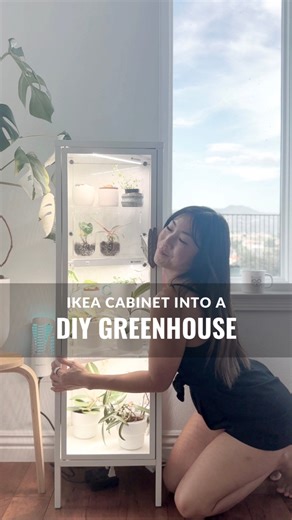👉Curious? Say “DETAILS” and I’ll share everything I used to convert this IKEA glass cabinet into a fully functional greenhouse! I’ll share my full YouTube tutorial as well. The greenhouse hate was always so strong and I never understood it because if you don’t like it, you simply need not make one 🤣. I did weatherstrip and seal the cabinet to hold in humidity, but if your goal is to merely keep plants displayed (and protected from pets and kids), then that step is completely optional. The grow