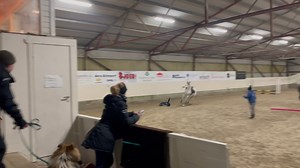 With a request from one of our fans @elisabeth.d_equestrian Make sure to follow us @horsesvideosfails for more fails No hate tolerated!! #horselovers #horsefails #horsefail #horseridingfail #horseridingfails #horses #horseofinstagram #jumping #horsejumping | HorseLovers Fails