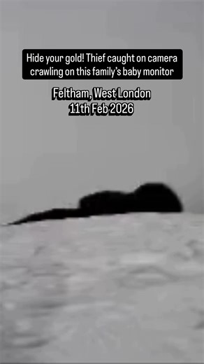 Masked Burglars Target Family Home in Feltham