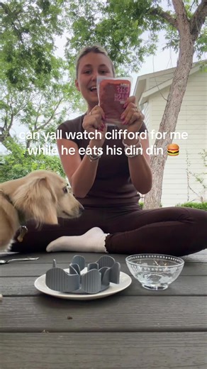OOPS 🤣🤣🤣 @Nom Nom forgive me #cliffordthelittlecreamween #minidachshund #dachshundsoftiktok #dachshund #puppy