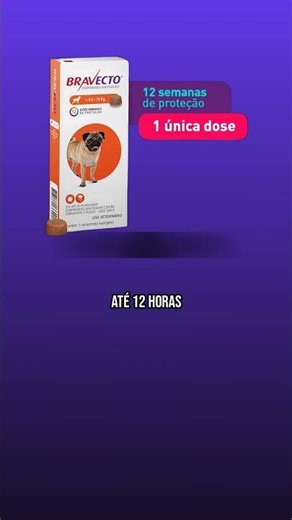 Bravecto® 250mg Antipulgas 🐕 VALE A PENA? | Review Completo #Shorts